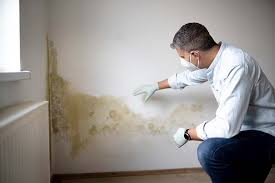 Best Forensic Mold Investigation  in Coral Hills, MD